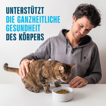 Mann streichelt eine getigerte Katze, die aus einer Schüssel mit Trockenfutter frisst; Text: 'UNTERSTÜTZT DIE GANZHEITLICHE GESUNDHEIT DES KÖRPERS'