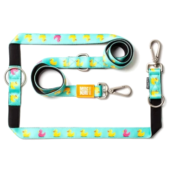 Blaues Hundeleinen- und Geschirr-Set mit gelben und pinken Entenmotiven, Metallclips und Anhängern mit der Aufschrift "Max & Molly" und "Urban Pets".