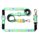 Blaues Hundeleinen- und Geschirr-Set mit gelben und pinken Entenmotiven, Metallclips und Anhängern mit der Aufschrift "Max & Molly" und "Urban Pets".