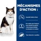 Un chat calico est assis sur un fond bleu avec un texte français sur la nutrition des animaux de compagnie, mettant en avant l'iode, les Oméga-3 et la L-carnitine.