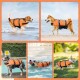 Eine Collage von Hunden in orangefarbenen Schwimmwesten: ein Beagle, der spritzt, ein Shiba Inu am Strand, ein Aussie, der im Pool apportiert, und ein Corgi, der rennt.