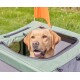 Gelber Labrador steckt Kopf aus grünem, weichwandigem Transportkäfig mit oranger Fahne im Gras