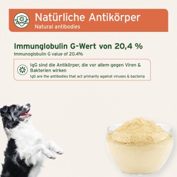 Hund und Schale mit Pulver mit dem Text 'Natürliche Antikörper' und 'Immunoglobulin‑G‑Wert von 20,4%'.