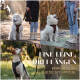 Collage von zwei Hunden: ein flauschiger weißer Samojede in einem braunen Geschirr und ein braun-weißer Hund an der Leine. Text: "EINE LEINE, DRIE LÄNGEN!"