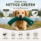 Brauner Hund trägt ein grünes Stoffspielzeug im Maul, steht auf einem Erdweg mit trockenem Gras und einem Baumstamm im Hintergrund.