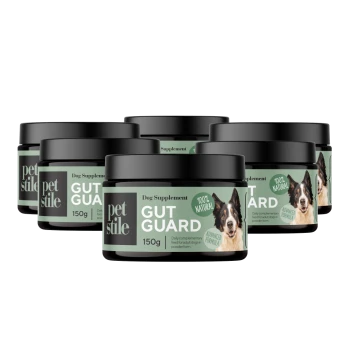 Sechs Gläser des Hundesupplements 'Petstile Gut Guard', jeweils 150 g, gekennzeichnet als 100% natürlich mit einem Bild eines Border Collies, das die Verdauungsgesundheit fördert.