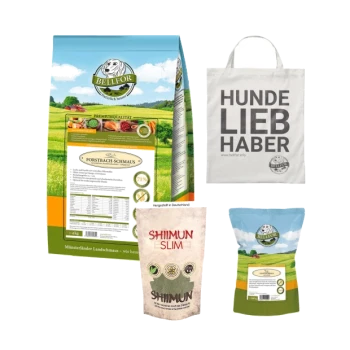 Eine Tüte Bellfor Hundefutter, beschriftet mit "Forstbach-Schmaus," ein "Shiimun Slim" Ergänzungspaket und eine Tragetasche mit der Aufschrift "HUNDE LIEB HABER."