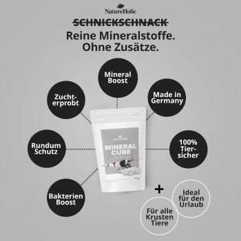 NatureHolic Mineral Cube-Beutel – 'Reine Mineralstoffe. Ohne Zusätze.' mit Kennzeichnungen 'Mineral Boost' und 'Made in Germany'