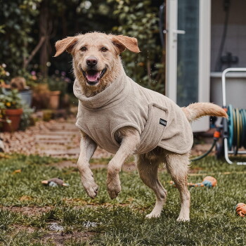 Strichzeichnung eines Hundes mit Halsband 'THE DOG IDEA', gestrichelter Rückenmesslinie und deutschen Beschriftungen '1 Rückenlänge' und '2 Gewicht'.