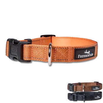 Oranges gewebtes Hundehalsband mit schwarzer Kunststoffschnalle und Metallring, beschriftet mit "Freudentier" und einem laufenden Hund-Logo.