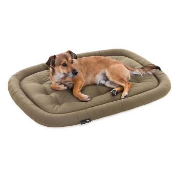 Ein entspannter brauner Hund liegt auf einem plüschigen, olivgrünen Haustierbett mit einem gepolsterten Design, vor einem weißen Hintergrund.