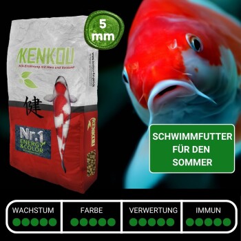 Kenkou Koi Futterbeutel mit einem roten und weißen Koi-Fischbild, beschriftet mit "Nr. 1 ENERGIE & FARBE" und "SCHWIMMFUTTER FÜR DEN SOMMER."