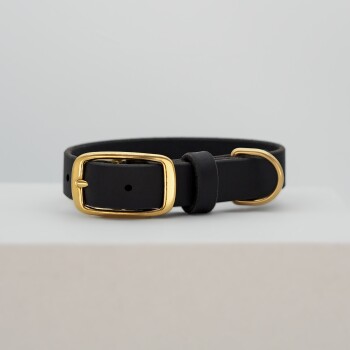 Schwarzes Haustierhalsband mit einer goldenen Schnalle und Schlaufe, auf einer hellgrauen Oberfläche präsentiert.
