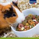Zbliżenie na pomarańczowego i czarnego świnki morskiej, ciekawie patrzącego na białą miskę z kolorową karmą dla zwierząt, z logo Vitakraft w rogu.