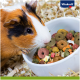 A close-up of an orange and black guinea pig curiously eyeing a white bowl of colorful pet food, with the Vitakraft logo in the corner.