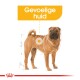 Illustratie van een Shar Pei hond met de tekst 'Gevoelige huid' erboven, die een specifiek gebied op zijn lichaam benadrukt.