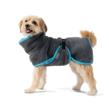 Ein kleiner Hund trägt einen gemütlichen grauen Fleece-Mantel mit blauen Akzenten, mit einem Schnallenverschluss. Der Mantel ist für Wärme und Komfort entworfen.