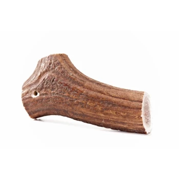 Hundesnack - Hirsch-Geweihe L - 80g Ein natürlicher Hundekau stick, strukturiert und braun, mit einer abgerundeten Spitze und einem kleinen Loch auf einer Seite, auf einem weißen Hintergrund präsentiert.