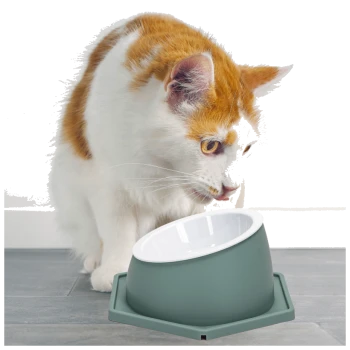 Eine neugierige orange-weiße Katze lehnt sich zu einer modernen, sechseckigen Futter- und Wasserschüssel in gedämpftem Grün mit weißem Innenraum.