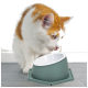 Eine neugierige orange-weiße Katze lehnt sich zu einer modernen, sechseckigen Futter- und Wasserschüssel in gedämpftem Grün mit weißem Innenraum.