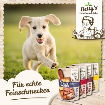 Ein verspielter Welpe läuft auf einem grasbewachsenen Feld neben der Verpackung von Bettys Hundefutter, mit "Für echte Feinschmecker" und "TRUT-HAHN."