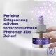 Hand hält Feliway Optimum Nachfüllfläschchen mit lila Funkeln, deutscher Text 'Perfekte Entspannung...' und '30 Tage'.
