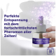 Hand hält Feliway Optimum Nachfüllfläschchen mit lila Funkeln, deutscher Text 'Perfekte Entspannung...' und '30 Tage'.