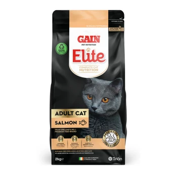 Black cat with orange eyes on a bag of Gain Elite Adult Cat Salmon food, featuring "Complete Cat Nutrition" and nutritional benefits.