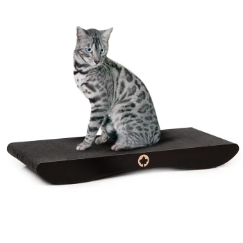Kratzbrett Comet XL schwarz Eine silbergescheckte Katze sitzt auf einem eleganten, dunklen Holz-Kratzbaum mit geschwungenem Design und einem kleinen Ahornblatt-Logo.