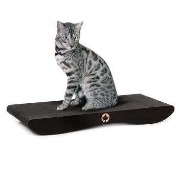 Eine silbergescheckte Katze sitzt auf einem eleganten, dunklen Holz-Kratzbaum mit geschwungenem Design und einem kleinen Ahornblatt-Logo.