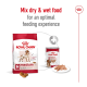 Royal Canin medium adult dog food packaging with dry kibble, a can of wet food, and a plate of wet food, promoting mixing for optimal feeding.