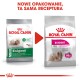 Dwa opakowania karmy dla psów Royal Canin "MINI Exigent": po lewej z starym wzorem, po prawej z nowym wzorem z napisem "Nowe opakowanie, ta sama receptura."