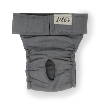 Läufigkeitshöschen "Lou" Stone Grey grau M