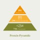 Infografik einer Proteinpyramide: 0% Getreide, 29% Obst/Gemüse, 71% tierisches Protein, betitelt "Protein-Pyramide."