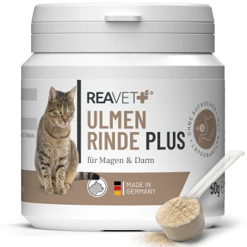 Behälter mit REAVET Ulmen Rinde Plus für Katzen, 50g, gekennzeichnet für Magen- und Darmgesundheit, mit einem Bild einer getigerten Katze und dem 'Made in Germany'-Logo.