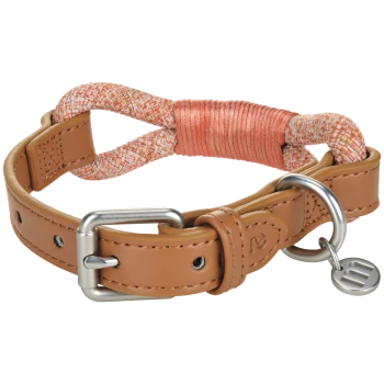 Collier pour chien en cuir beige avec boucle et anneau en D argentés, boucle de corde tissée orange et accent de cordon enroulé, médaille métallique ronde.