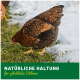 Eine Nahaufnahme eines braunen Huhns mit schillernden Federn, das auf grünem Gras läuft, mit dem Text "NATÜRLICHE HALTUNG für glückliche Hühner" am unteren Rand.