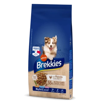Sac de nourriture pour chiens étiqueté "Brekkies" avec un chien heureux sur le devant, contenant 55 % de protéines provenant du poulet et des légumes, taille 13 kg.