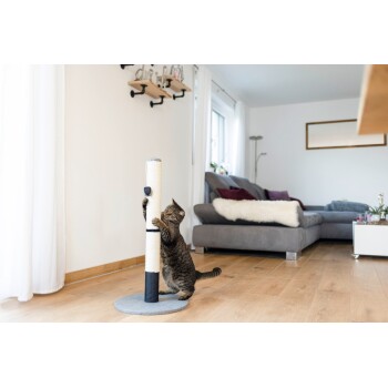 Getigerte Katze kratzt an einem vertikalen beigen und schwarzen Kratzbaum in einem modernen Wohnzimmer mit grauem Sofa.