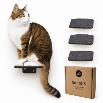 Eine getigerte Katze sitzt auf einem schwarzen wandmontierten Regal, schaut zur Seite, mit zwei weiteren Regalen, die darunter an einer weißen Wand sichtbar sind.