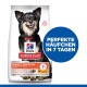 Hundefutterbeutel mit einem glücklichen schwarz-braunen Hund, beschriftet mit 'Hill's Science Plan - Perfect Digestion', mit dem Text 'Perfekte Häufchen in 7 Tagen.'