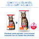 Sacs de nourriture pour chats Hill's Science Plan Adult 1–6 avec image d'un chat tigré, badge ACTIVBIOME+ MULTI BENEFIT et en-tête "RECETTE AMÉLIORÉE, MÊME GOÛT DÉLICIEUX".