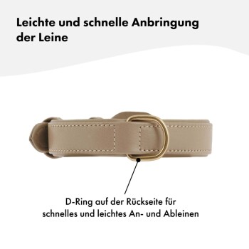 Beige Hundehalsband mit einem goldenen D-Ring für eine einfache Leinenbefestigung, mit Text auf Deutsch über die schnelle und einfache Verwendung.