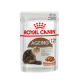 Royal Canin Ageing 12+ Katzenfutterbeutel mit einer flauschigen Seniorenkatze, mit Text, der angibt, dass es für Katzen über 12 Jahre alt ist.