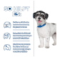 Ein glücklicher Hund mit einem blauen Halsband steht vor einem blauen Hintergrund, auf dem die Vorteile einer Gewichtsreduktionsdiät für Hunde umrissen sind.