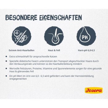 Ein Stück Haustierfutter in Form eines Fischschwanzes neben drei gestapelten rechteckigen Krokettenstücken, alles in einer hellen Umgebung.