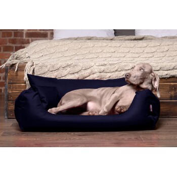 Ein entspannter grauer Hund liegt in einem marineblauen Haustierbett auf einem Holzboden, mit einer gemütlichen gestrickten Decke und einem Bett im Hintergrund.