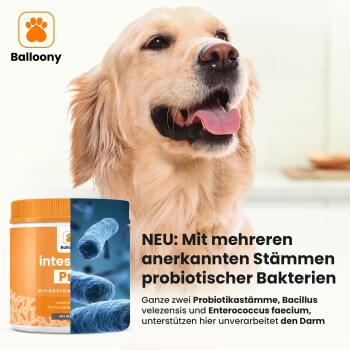 German Shephy Darmpulver Intestinal Pro 400 g