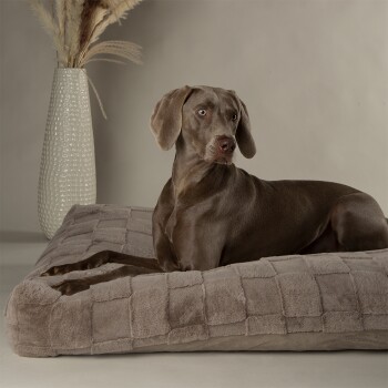 Ein grauer Weimaraner-Hund, der auf einem plüschigen, quadratischen Hundebett mit strukturiertem Oberflächenmaterial ruht, neben einer hohen, weißen Vase mit getrockneten Pflanzen.