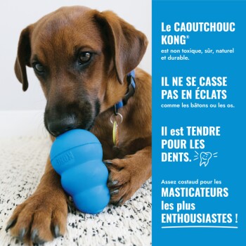 Chien brun mâchant un jouet KONG bleu ; panneau bleu montre le texte français « Le CAOUTCHOUC KONG... Il ne se casse pas en éclats ».